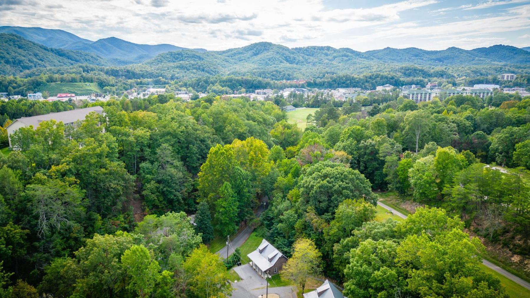 Bear Clubhouse Hot Tub, 1Mile From The Parkway, 900 In Free Tickets! Βίλα Pigeon Forge Εξωτερικό φωτογραφία